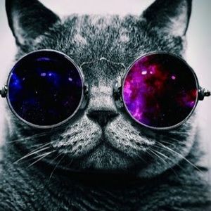 Meet your Posher, Ringo